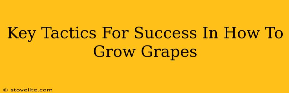 Key Tactics For Success In How To Grow Grapes