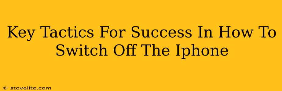 Key Tactics For Success In How To Switch Off The Iphone