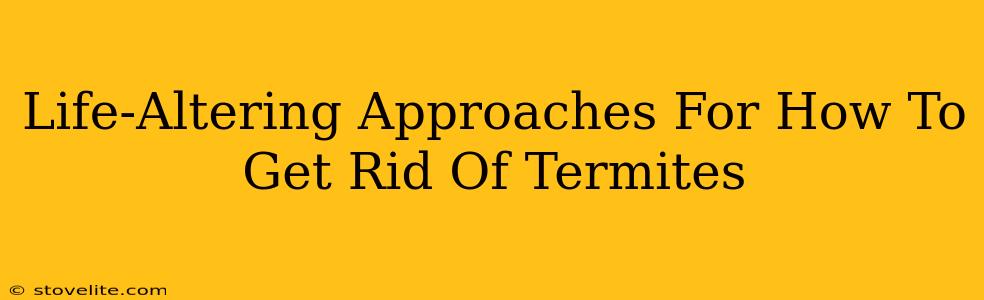 Life-Altering Approaches For How To Get Rid Of Termites