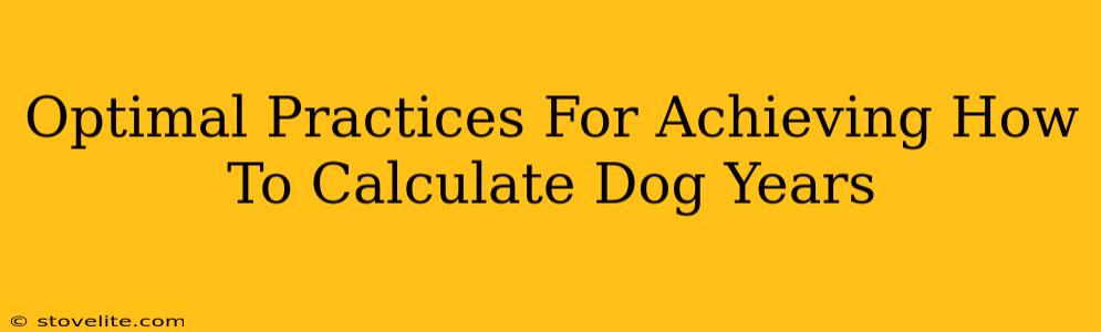 Optimal Practices For Achieving How To Calculate Dog Years