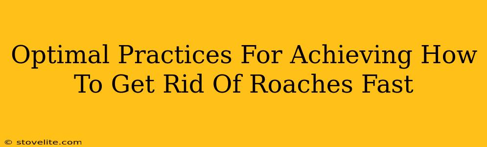 Optimal Practices For Achieving How To Get Rid Of Roaches Fast