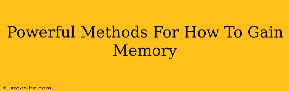 Powerful Methods For How To Gain Memory