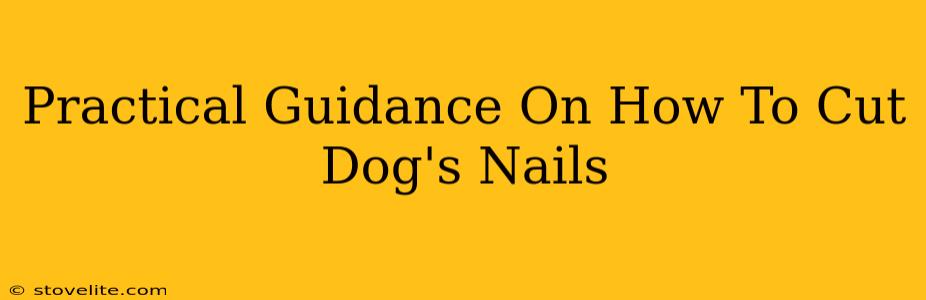 Practical Guidance On How To Cut Dog's Nails