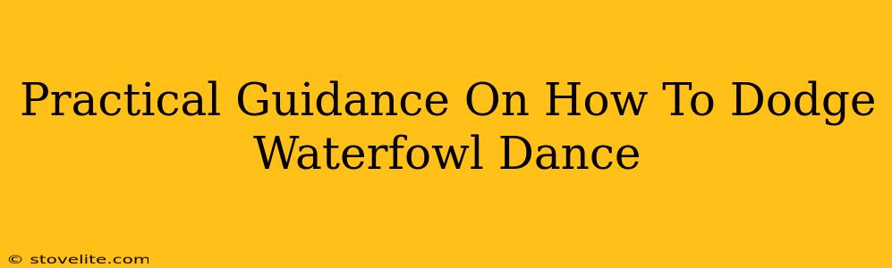 Practical Guidance On How To Dodge Waterfowl Dance