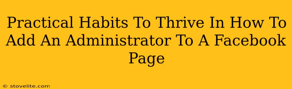 Practical Habits To Thrive In How To Add An Administrator To A Facebook Page