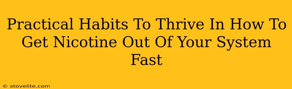 Practical Habits To Thrive In How To Get Nicotine Out Of Your System Fast