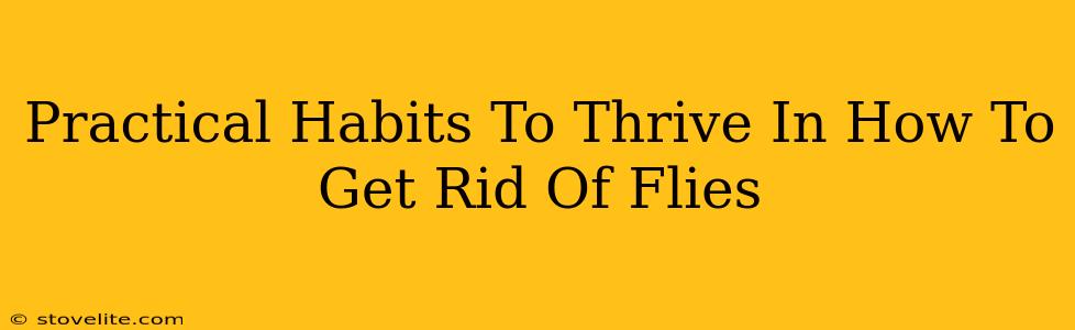 Practical Habits To Thrive In How To Get Rid Of Flies