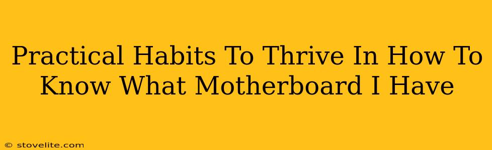 Practical Habits To Thrive In How To Know What Motherboard I Have