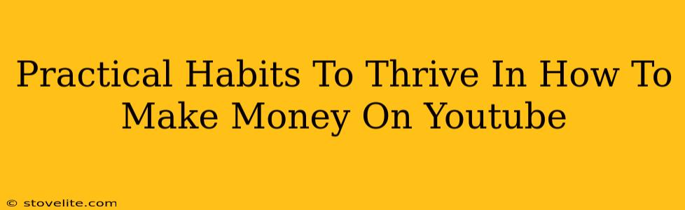 Practical Habits To Thrive In How To Make Money On Youtube