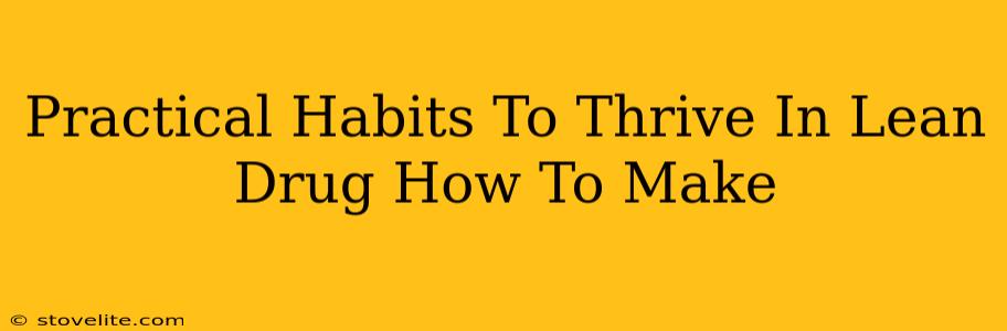 Practical Habits To Thrive In Lean Drug How To Make