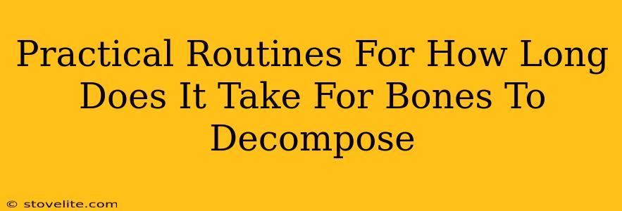 Practical Routines For How Long Does It Take For Bones To Decompose