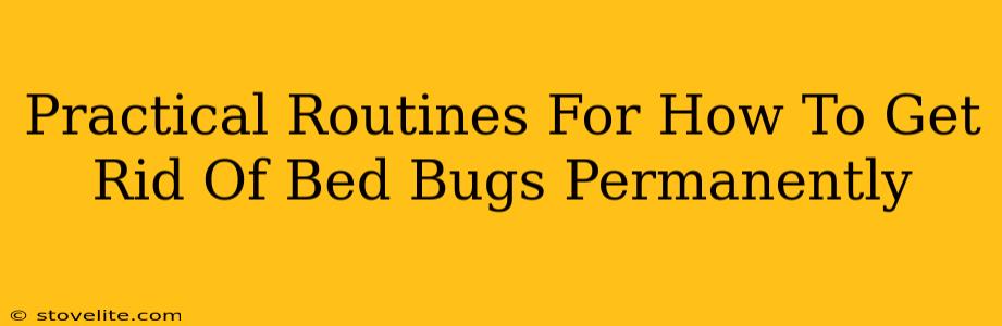 Practical Routines For How To Get Rid Of Bed Bugs Permanently