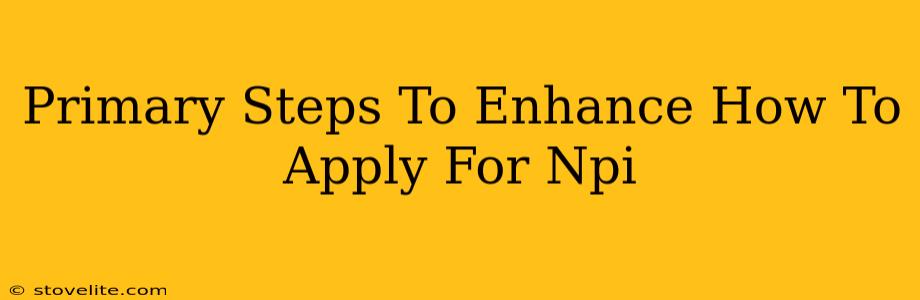 Primary Steps To Enhance How To Apply For Npi