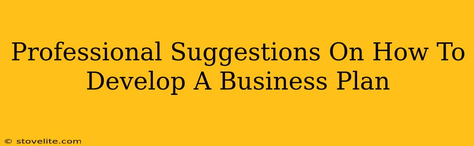 Professional Suggestions On How To Develop A Business Plan