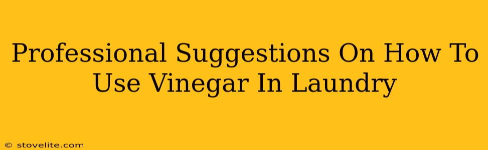 Professional Suggestions On How To Use Vinegar In Laundry
