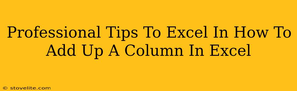 Professional Tips To Excel In How To Add Up A Column In Excel