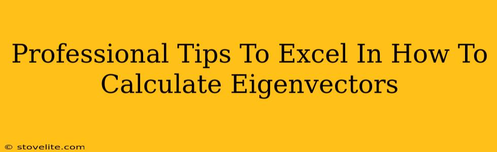 Professional Tips To Excel In How To Calculate Eigenvectors