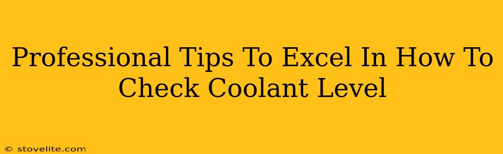 Professional Tips To Excel In How To Check Coolant Level