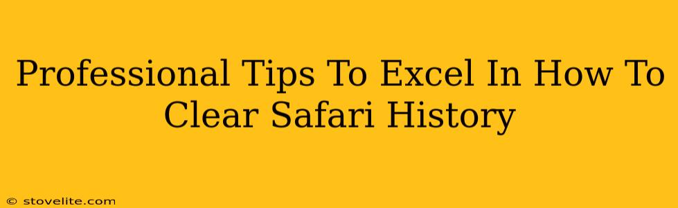 Professional Tips To Excel In How To Clear Safari History