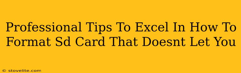 Professional Tips To Excel In How To Format Sd Card That Doesnt Let You