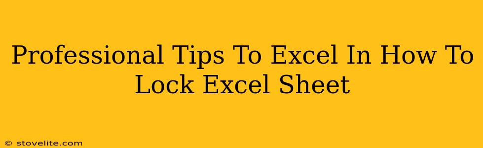 Professional Tips To Excel In How To Lock Excel Sheet