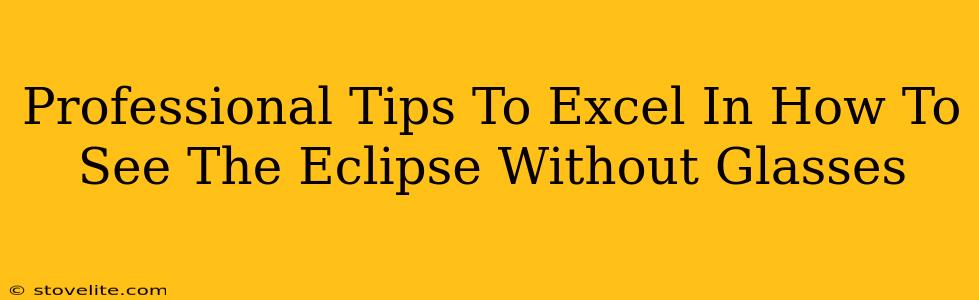Professional Tips To Excel In How To See The Eclipse Without Glasses