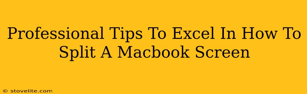 Professional Tips To Excel In How To Split A Macbook Screen