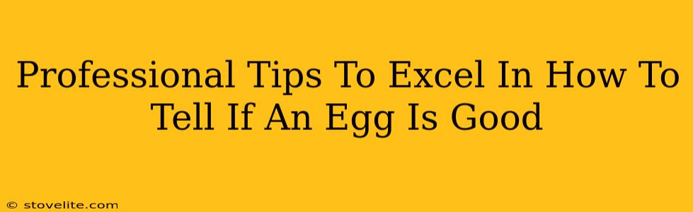 Professional Tips To Excel In How To Tell If An Egg Is Good