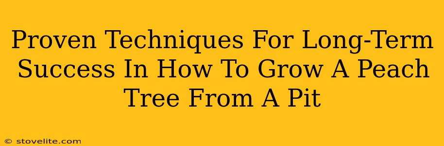 Proven Techniques For Long-Term Success In How To Grow A Peach Tree From A Pit