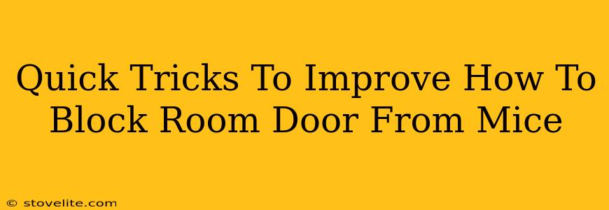 Quick Tricks To Improve How To Block Room Door From Mice