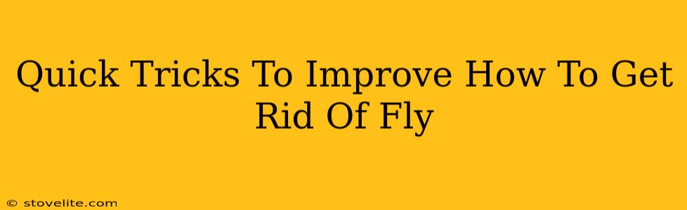 Quick Tricks To Improve How To Get Rid Of Fly