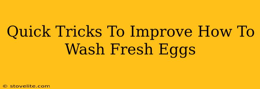 Quick Tricks To Improve How To Wash Fresh Eggs