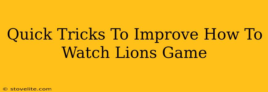 Quick Tricks To Improve How To Watch Lions Game