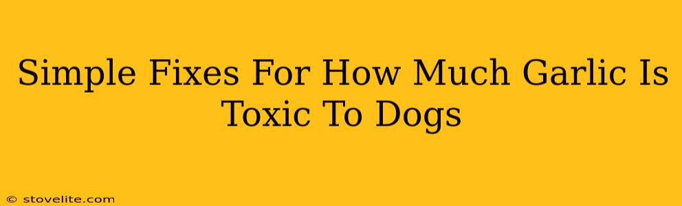 Simple Fixes For How Much Garlic Is Toxic To Dogs