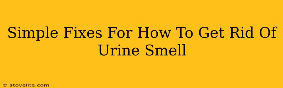 Simple Fixes For How To Get Rid Of Urine Smell