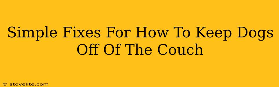 Simple Fixes For How To Keep Dogs Off Of The Couch