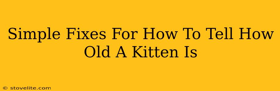 Simple Fixes For How To Tell How Old A Kitten Is