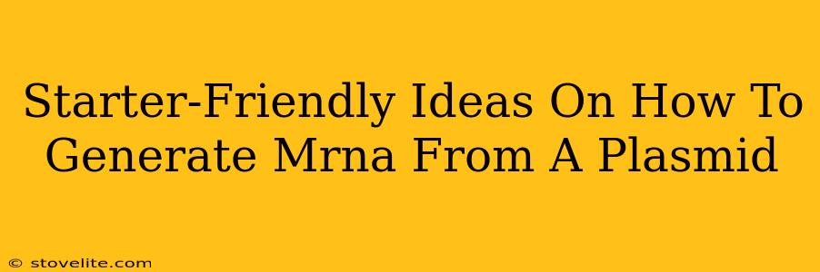 Starter-Friendly Ideas On How To Generate Mrna From A Plasmid