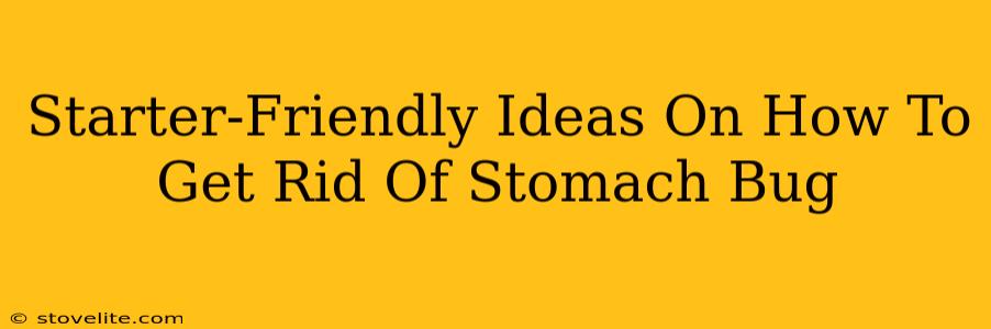 Starter-Friendly Ideas On How To Get Rid Of Stomach Bug