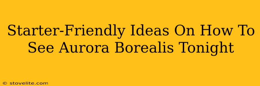 Starter-Friendly Ideas On How To See Aurora Borealis Tonight