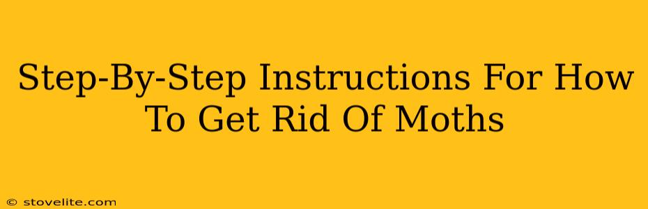 Step-By-Step Instructions For How To Get Rid Of Moths