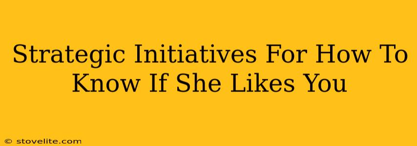 Strategic Initiatives For How To Know If She Likes You