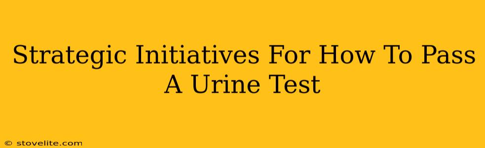 Strategic Initiatives For How To Pass A Urine Test