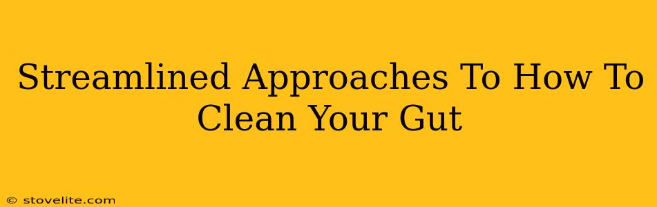 Streamlined Approaches To How To Clean Your Gut