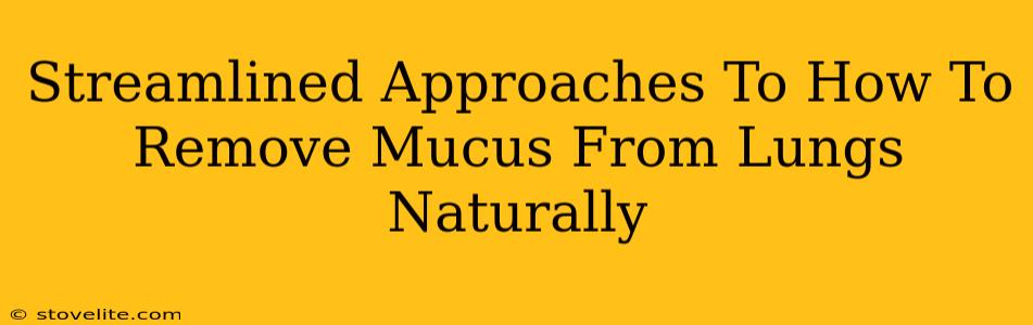 Streamlined Approaches To How To Remove Mucus From Lungs Naturally