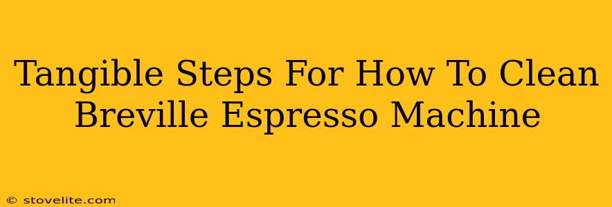 Tangible Steps For How To Clean Breville Espresso Machine