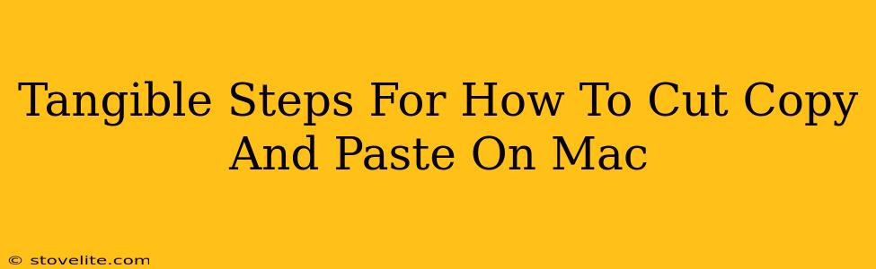 Tangible Steps For How To Cut Copy And Paste On Mac