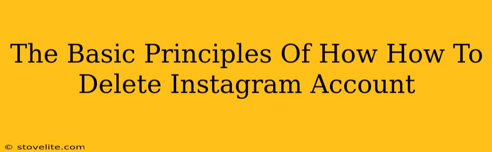 The Basic Principles Of How How To Delete Instagram Account