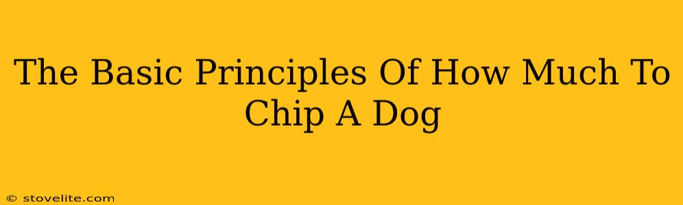 The Basic Principles Of How Much To Chip A Dog