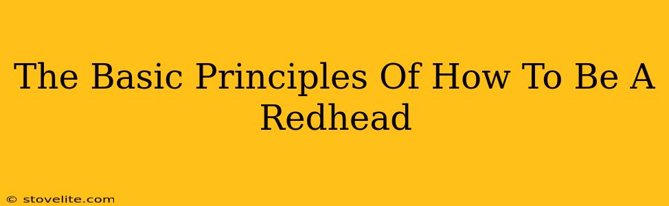 The Basic Principles Of How To Be A Redhead